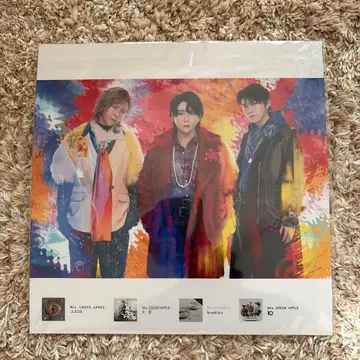 Mr. GREEN APPLE LP 사이즈 사진 포스터