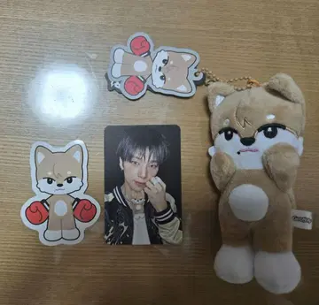 소곤 NEXZ BEAT BOXER NEXZOO 플랫폼 ver