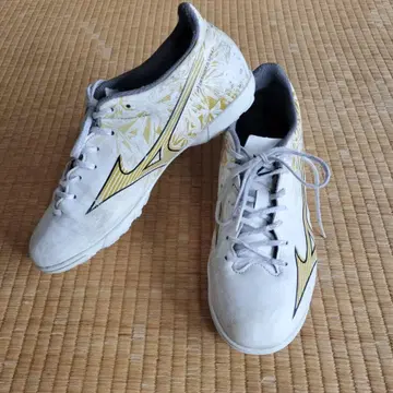 미즈노 트레이닝화 25cm 축구 풋살