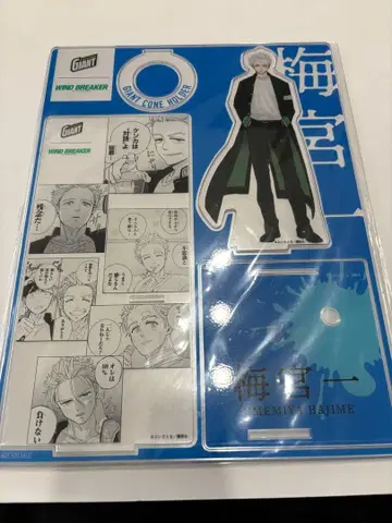 WIND BREAKER 자이언트 콘 우메미야 아크릴 스탠드 아크스타