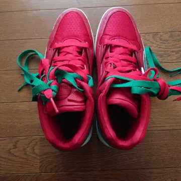 리복 레드/그린 하이컷 스니커즈