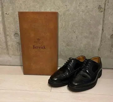 [ 부속물 있음 ] Berwick 버윅 윙팁 5278