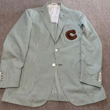 스트라이프 테일러드 자켓