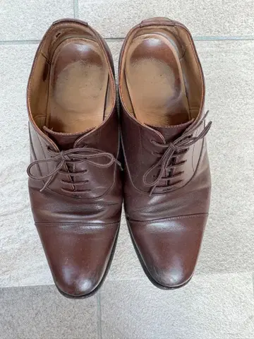 다크 브라운 가죽 드레스 슈즈 스코치 그레인 25.0