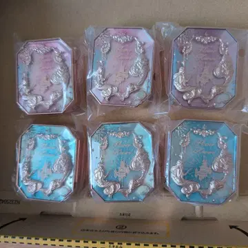 플라워 노즈 액세서리 케이스 6개