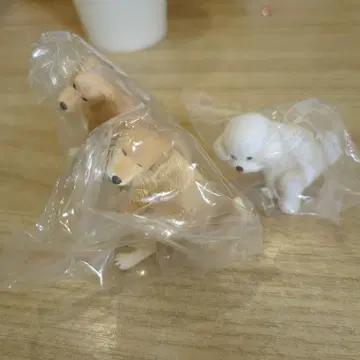 굼벵이 3체 세트 시크릿