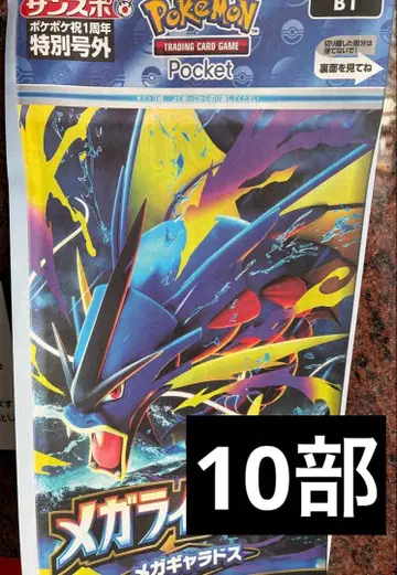 포켓몬 포켓포켓 호외 10부 메가 갸라도스