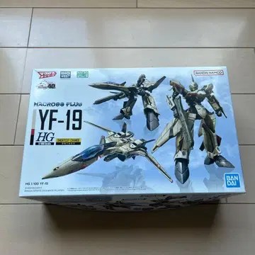 HG 1/100 YF-19 마크로스 플러스