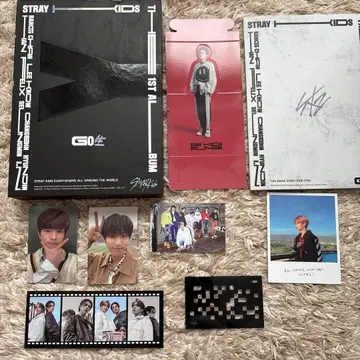 Straykids go 한정판 앨범