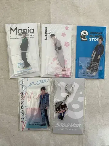 SnowMan 와타나베 쇼타 아크릴 스탠드 아크릴 키링 세트