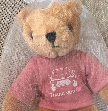 렉서스 베어 핑크