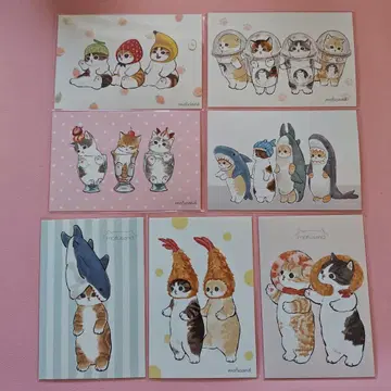 모프 샌드 엽서 세트