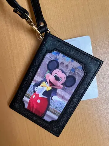 도쿄 디즈니 리조트 미키 실사 패스 케이스