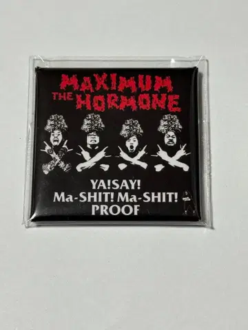 MAXIMUM THE HORMONE 배지