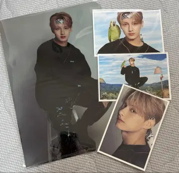 세븐틴 준 DFESTA 클리어 파일 엽서