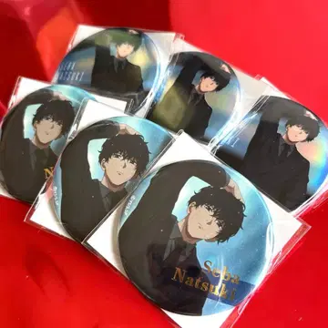 미개봉 새상품 사카모토 데이즈 플라자 세바 나츠키 캔뱃지