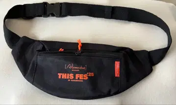 THIS FES'25 WAIST POUCH 웨스트 파우치