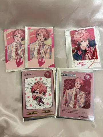 아카기 웬 발렌타인 2주년 폴라로이드 세트