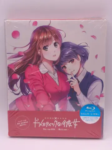 도메스틱한 그녀 Blu-ray Box 봉인ver. BD 블루레이