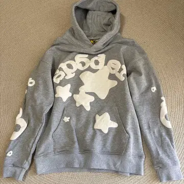 sp5der 그레이 후드티