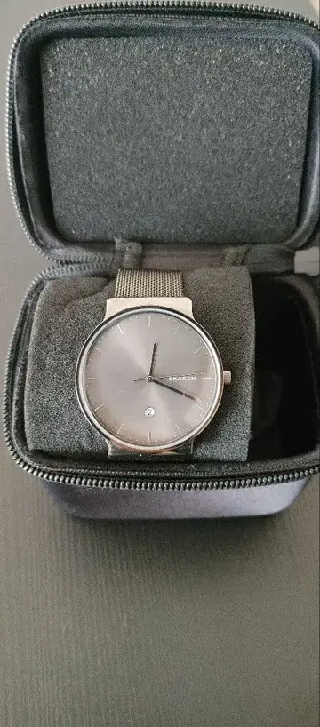 SKAGEN 쿼츠 손목시계 그레이 메쉬