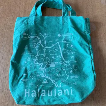 선샤인 클라우드 마켓 백 그린