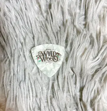 피크 나카츠가와 WILD WOOD 페스티벌 밴딩 라이브 수량 한정