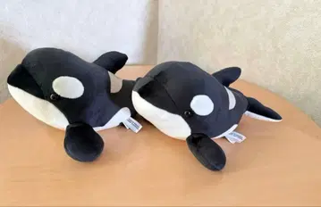 나고야항 수족관 범고래 복권 3등 블랙 2개 세트