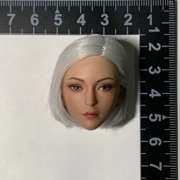 1/6 스케일 헤드 여성 피규어 TBLeague