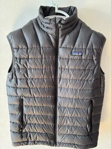 Patagonia 그레이 다운 베스트