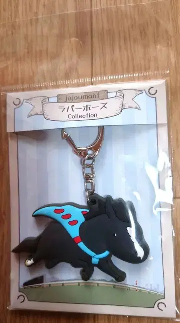 [ 이퀴녹스 ] jajaumant 러버 호스 컬렉션