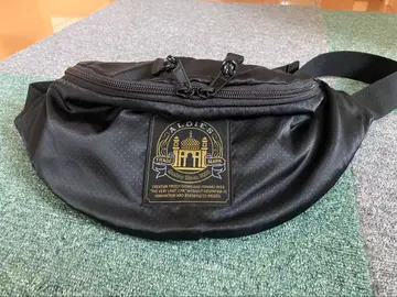 ALDIES 미니 웨이스트 백