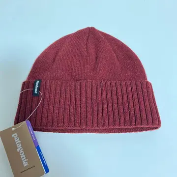 파타고니아 비니