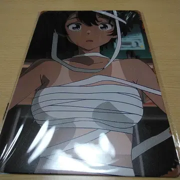 캐릭터 메탈 워 월 사인 20cm x 30cm 패배 히로인 야키시오 레몬