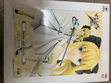Fate/Grand Order 세이버 동상