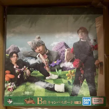 Mrs. GREEN APPLE B상 캔버스 보드