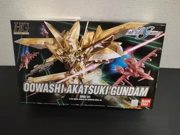 HG 대독수리 아카츠키 건담