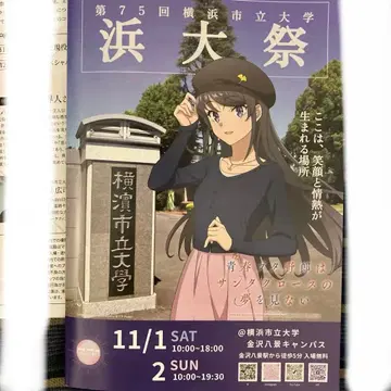 청춘 돼지 야로 하마마츠리 팜플렛