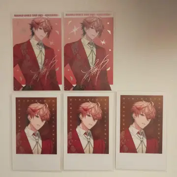 니지산지 히로시마 공연 폴라로이드풍 카드 세라프 다즐 가든