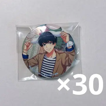 A3 캐릭터 배지 컬렉션 캐릭터 배지 캔뱃지 산리오 츠무기