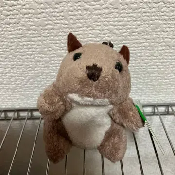 브라운 봉제 인형 택 포함