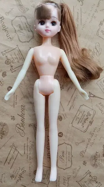 타카라토미 스미코구라시 다이스키 리카짱 인형 본체만 / 3
