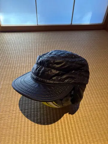 Patagonia 블랙 플라이트 캡