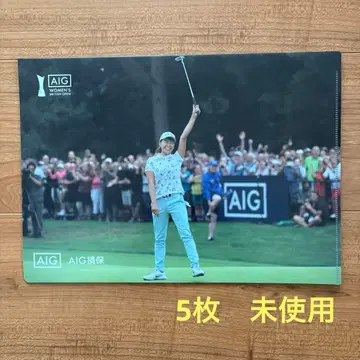 시부노 히나코 2019 AIG 전영 여자 오픈 클리어 파일 5장 세트