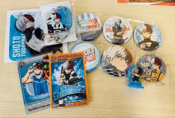 나의 히어로 아카데미아 토도로키 쇼토