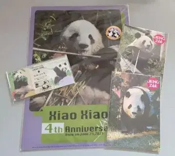 샤오샤오 레이레이 클리어 파일 엽서 비밀 메모 미사용 팬더