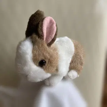 토끼 봉제 인형