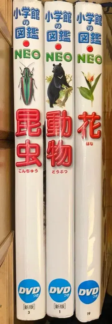 [ DVD 포함 ] 신판 소학관의 도감 NEO 시리즈 3권 세트