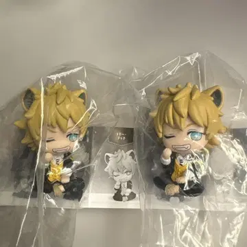 트위스티드 원더랜드 어깨 쿵 라기 부치