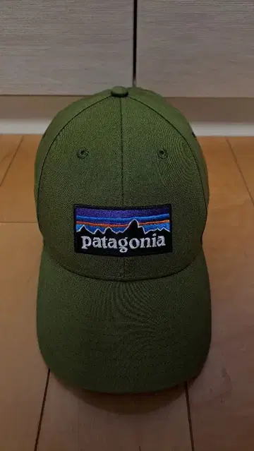 [ 남녀 공용 ] Patagonia 파타고니아 캡